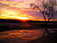 Sunset 2509