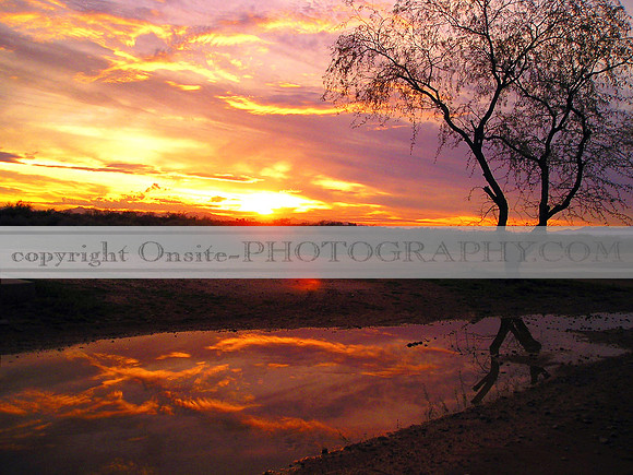 Sunset 2509
