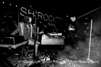 2010-03-05 Shirock in Venice