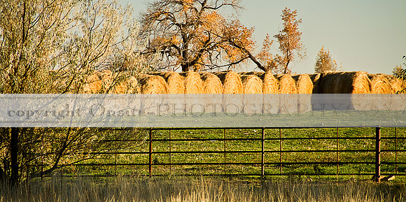 Longmont CO 3015