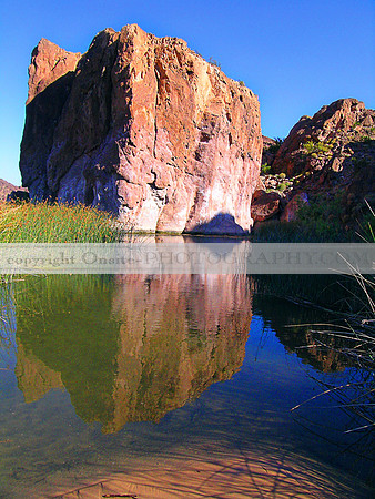 Colorado River - Topock Gorge 1540