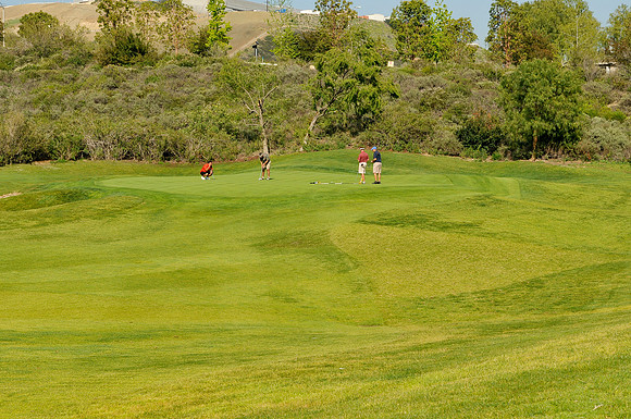 Scholarship Golf Tournament 2012