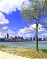 Chicago - Skyline 5