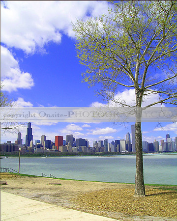 Chicago - Skyline 5