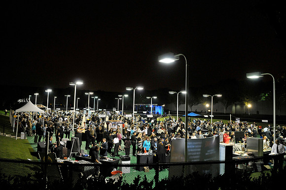 Evening Under the Stars