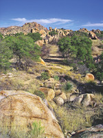 Landscapes