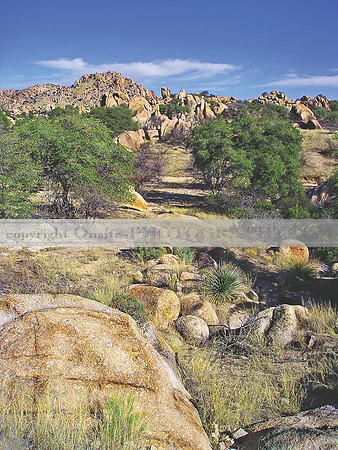AZ - Desert