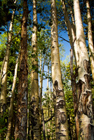 Rocky Mountain Nationl Park 3900
