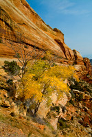 Monument Park CO - 3687