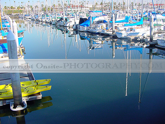 Daina Point - Marina 4805