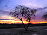 Sunset 2508