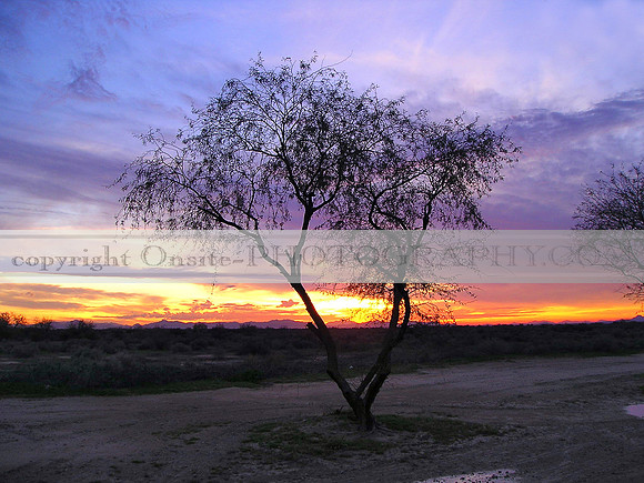 Sunset 2508